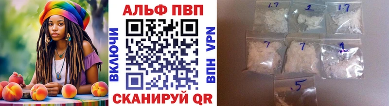 Alfa_PVP СК КРИС Луга
