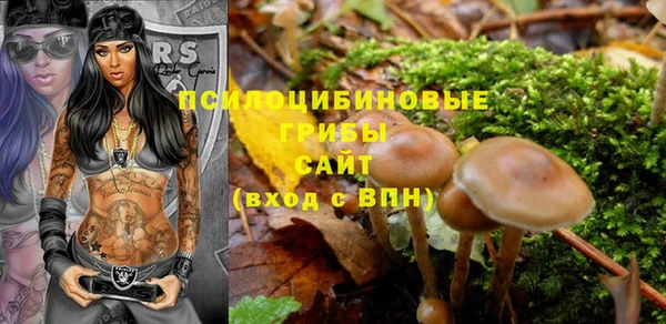 тгк Верхний Тагил