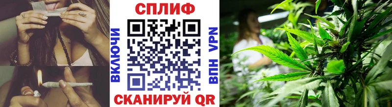 Каннабис OG Kush Луга